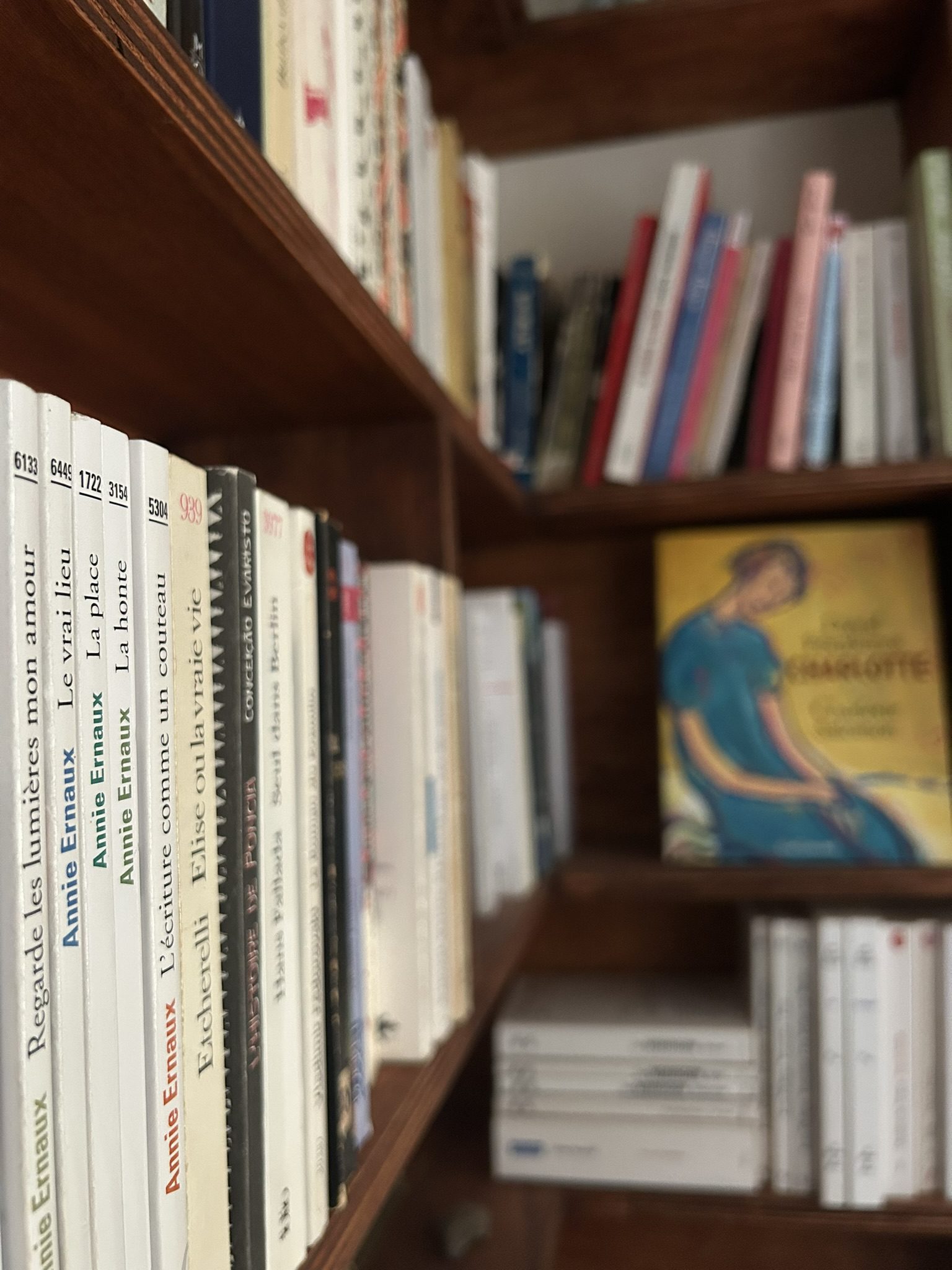 Learning French Through Reading: A Simple and Powerful Tool